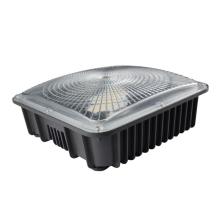 DLC Surface Mounting Led Canopy Light