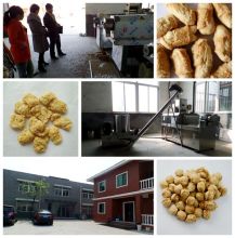 Soyabean Protein Making Machine (SLG65-S)