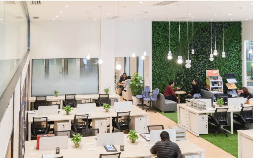 Factory High Quality Rotary SDS Plus or SDS Max Power Hammer Drill Bit for Concrete Drilling