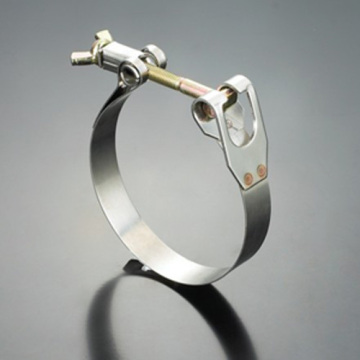 Wide Worm Automotive Hose Clamps?