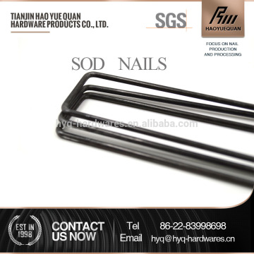 Two-pronged fastener staple wire Introduces land scape sod nail