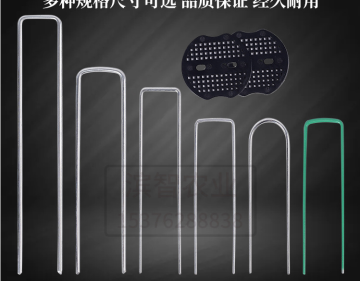 Galvanized fence sod staple U type wire nail