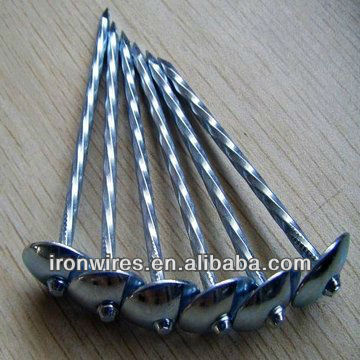 Export galvanzied roofing nails