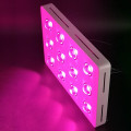 WENYI factory led plant lighting for medical plants