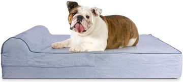 Comfity High Density Foam Dog Bed