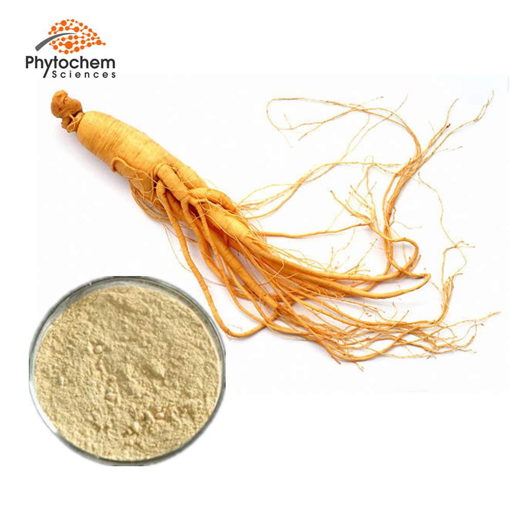 top grade Ginsenoside powder panax wild ginseng root