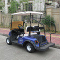2 posti golf cart a gas in vendita