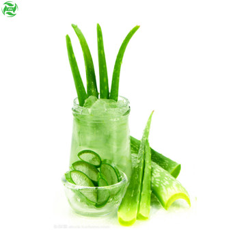 Wholesale Aloe Vera Gel Facial Skincare Raw Material