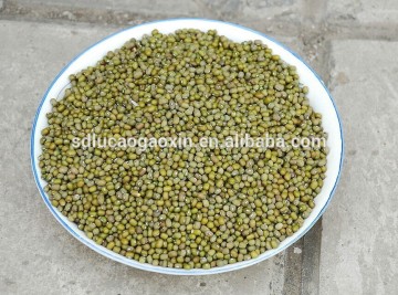 China supplier dry green mung bean peeling machine