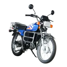 72V Electric Scooter: Simple Design Cg Moped Adult Motorcycle Ebike