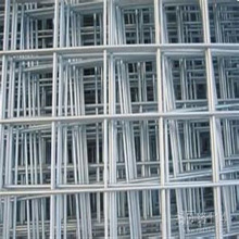 Popular Steel Wire Mesh for Parrots