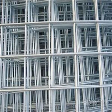 Popular Steel Wire Mesh for Parrots