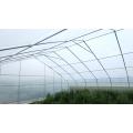Film Single span greenhouse  for vegetables