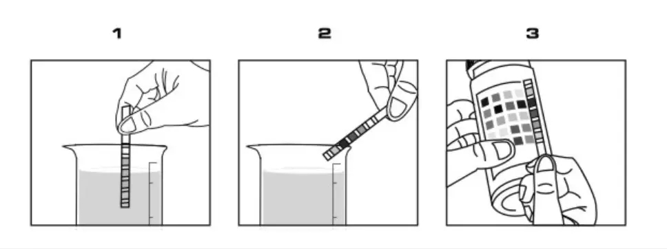 Urine Test Strips