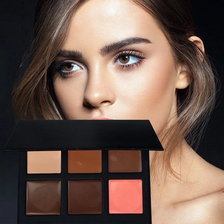 2021 Cosmetic Cream Concealer Palette 6 Colors Cream Palette Concealer Makeup