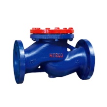 Cast iron lifting check valve