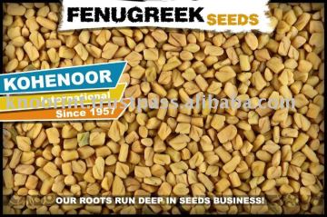 Fenugreek Seeds Exporter