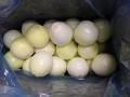 Αποφλοιωμένο κίτρινο κρεμμύδι στην Αυστραλία