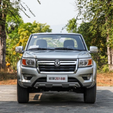 New Rich diesel auto pickup trucks with 4x4 dongfeng pickup trucks for sale