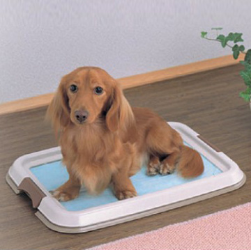 Flat Dog Litter Tray