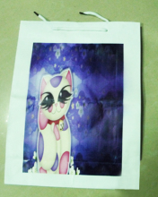 I am Not a Plastic Bag Color Printing Machine