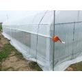 Professional Large Size Durable PE Film Greenhouse