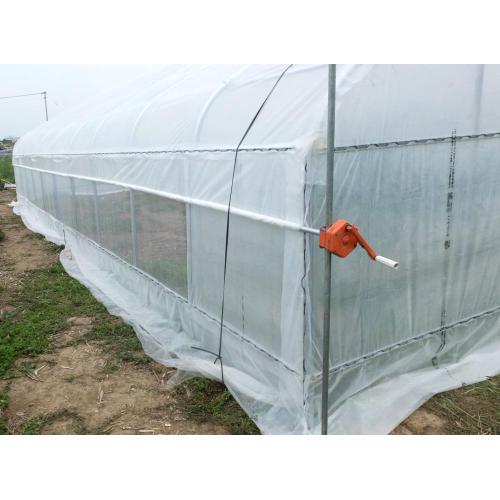 Single tunnel greenhouse Customized Film Covering Material