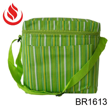 green stripe cooler bag