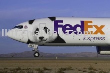 Airfreight from China to Australia