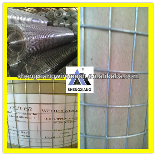 Galvanized Welded wire mesh welded rabbit cage wire mesh