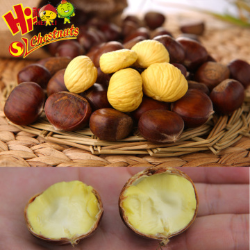 Eating Sweet Fresh Chinese dried peeled chestnuts for sale