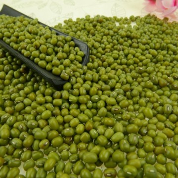 Organic Dried Green Mung Beans