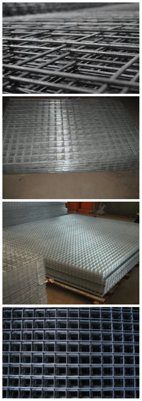 High Quality Galvanized Welded Wire Mesh