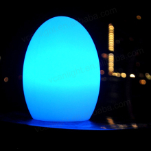 Illuminated Glowing Waterproof LED Egg Lamp