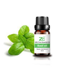 Best Quality Steam Distillation Natural  Basil Oil
