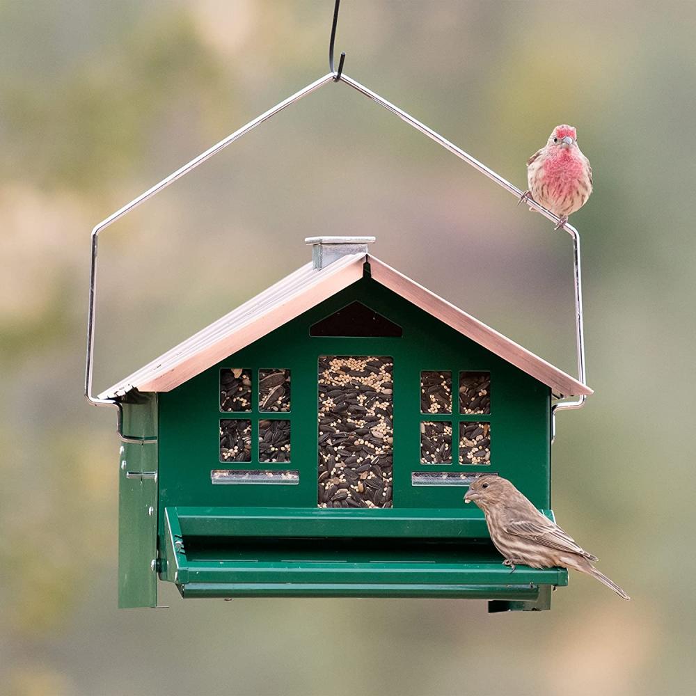 煙突付きの鳥の餌箱の家