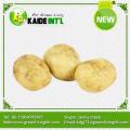 Patate fresche a buon mercato appetibile