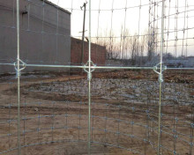 Rural High Tensile Livestock Fencing