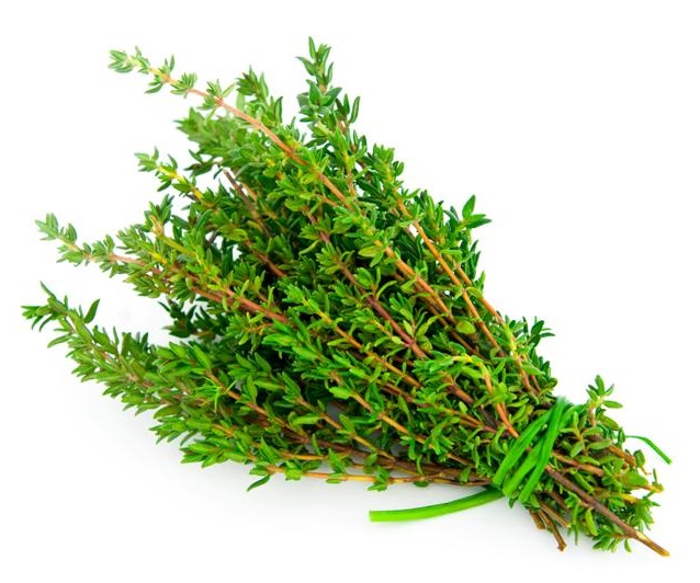 thyme-2.jpg