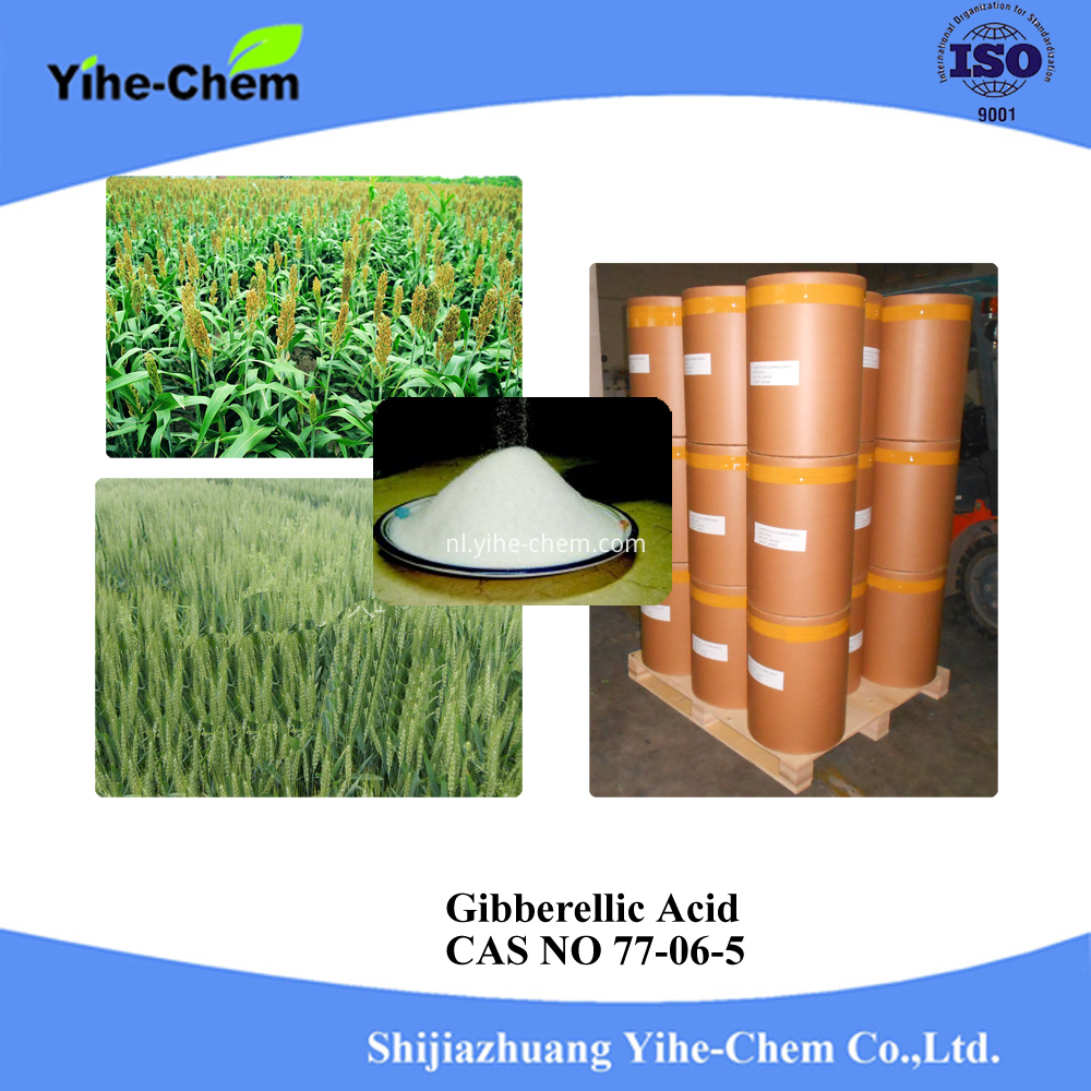 Gibberellic Acid 5 Gibberellic Acid 5