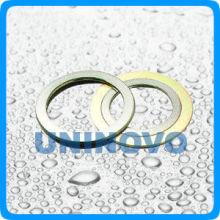 spiral wound gasket (basic)