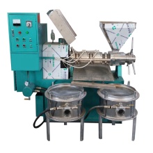 Sunflower and Macadamia Nut Oil Press Machine - Professional Cooking Oil Press Equipment