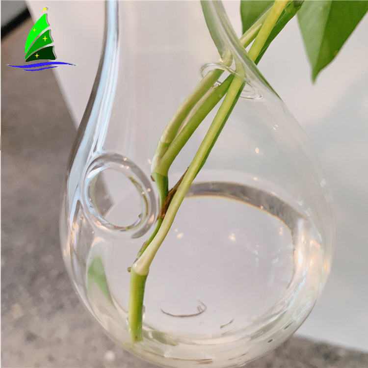 transparent hanging hydroponic glass vase