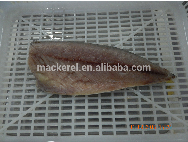 Nuova stagione Frage Pacific Mackerel Fillet Fish