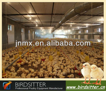 strong poultry farm organizational structure