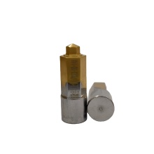 Tin Coated Hexagon Punch Series for Screw Heads