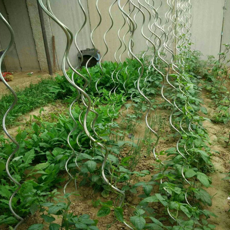 Power Coated 7Mm Tomato Plant Spiral Stakes