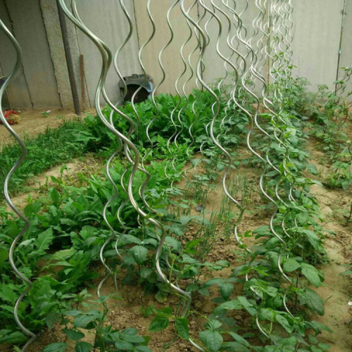 Pali a spirale per piante di pomodoro rivestite a potenza 7Mm