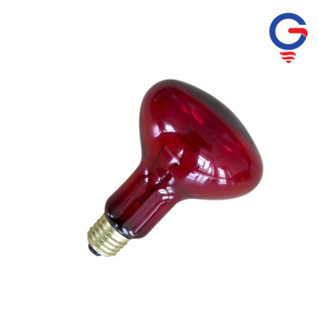 Crimson Red Infrared Heat Lamp with Guard