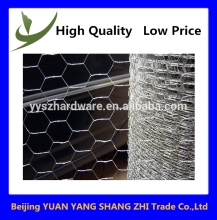 Hexagonal chicken wire mesh/anping hexagonal mesh/hexagonal steel tube
